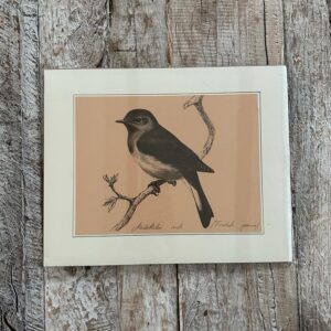 Grafika – „Muchołówka”