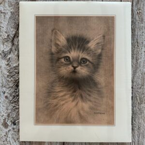 Grafika – „Kotek szaro-biały”