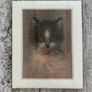 Grafika „kotek czarno-biały” 28×35 cm