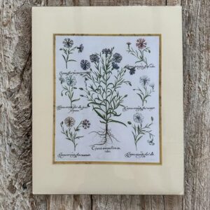 Grafika – „Chaber”