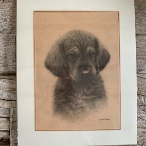 Grafika – „Mały piesek 1”