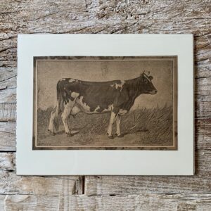 Grafika „Krowa”