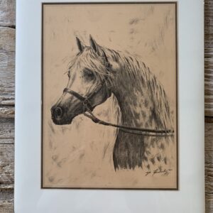 Grafika „koń siwy” 28×35 cm