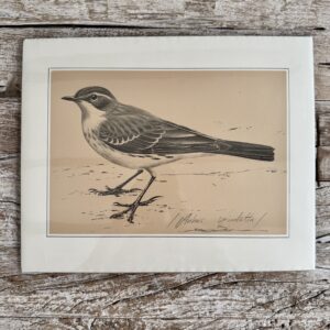 Grafika – „Siwerniak”