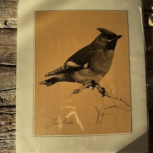 Grafika – „Jemiołuszka”