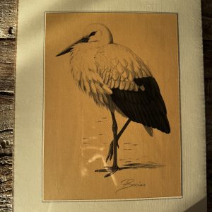 Grafika – „Bocian”