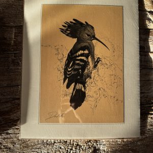 Grafika – „Dudek”