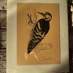 Grafika – „Dzięcioł”