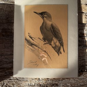 Grafika – „Dzięcioł zielony”