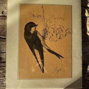 Grafika – „Jeżyk”