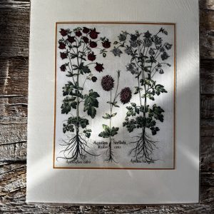 Grafika – „Orlik”