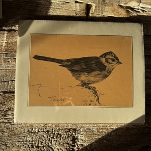 Grafika – „Trznadelek”