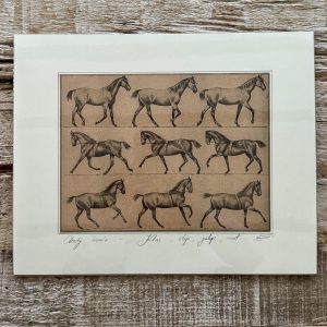 Grafika – „Chody konia”