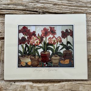 Grafika – „Hippeastrum”