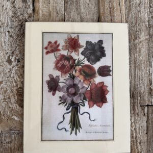 Grafika – „bukiet anemonów kolorowy”